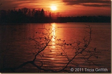 Beaver Lake Sunset 